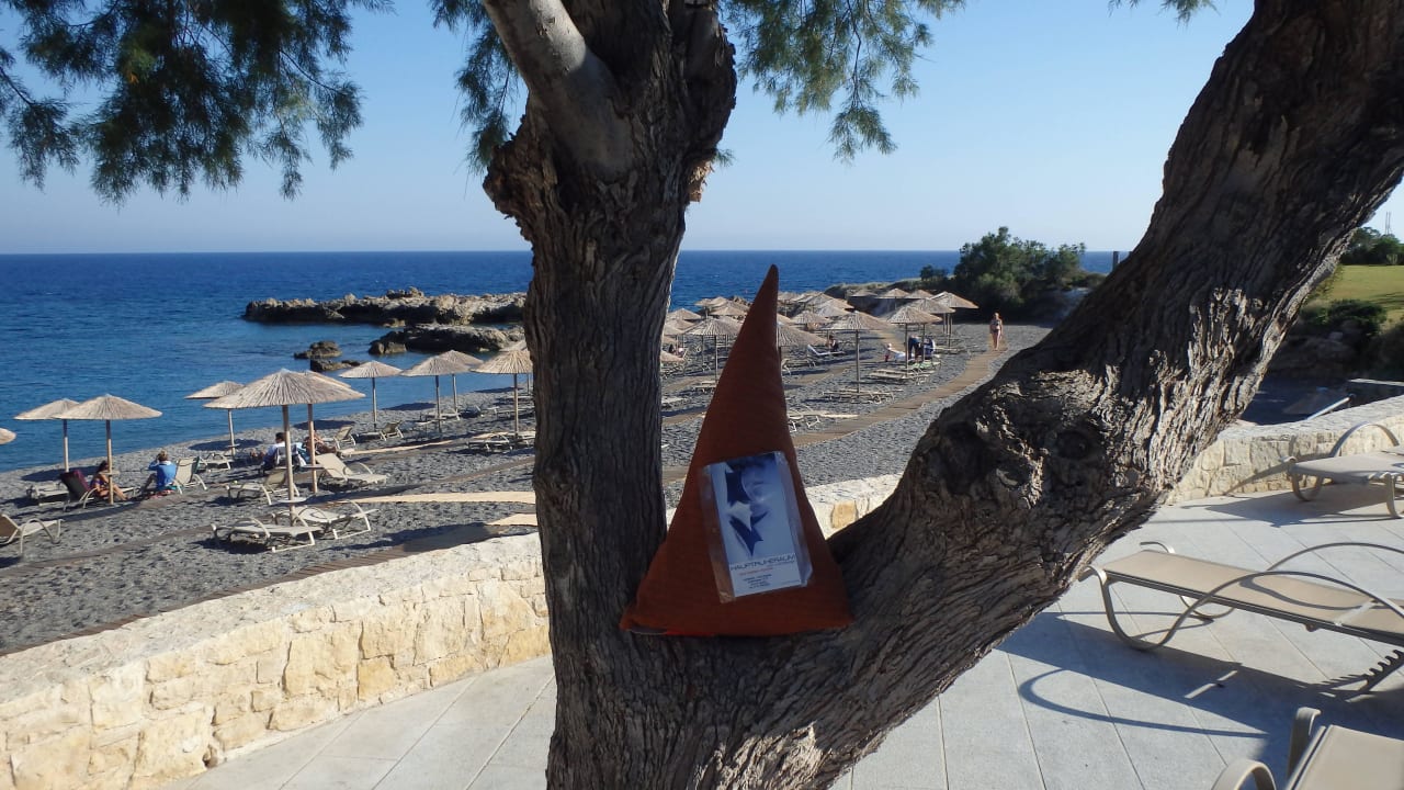 Blick vom Poolrand Hotel Kakkos Bay