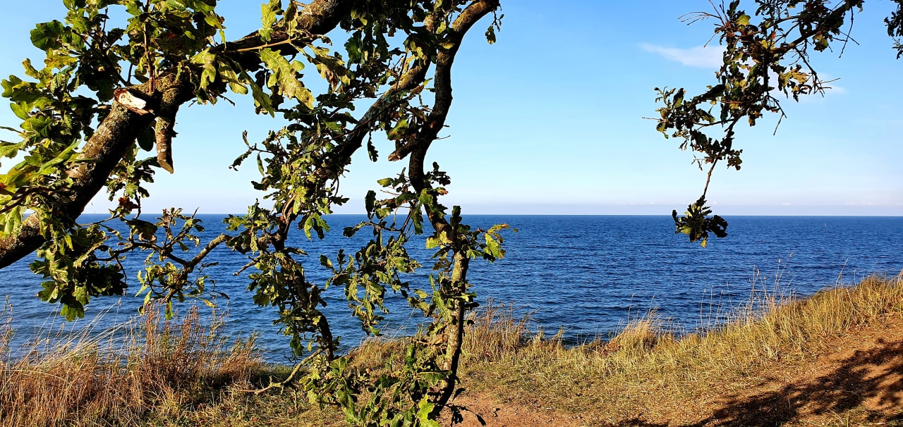 Strand Ferienwohnungen Ferienpark Weissenhäuser Strand