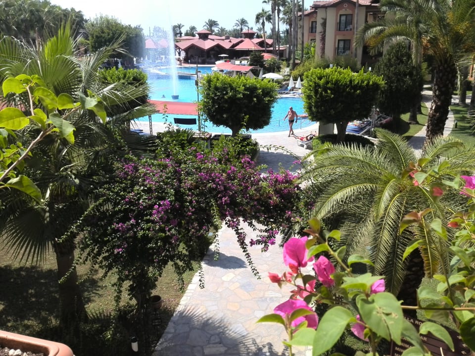 Ausblick Miramare Queen Hotel