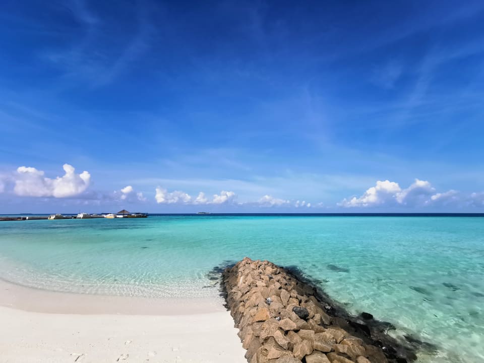 Strand Summer Island Maldives