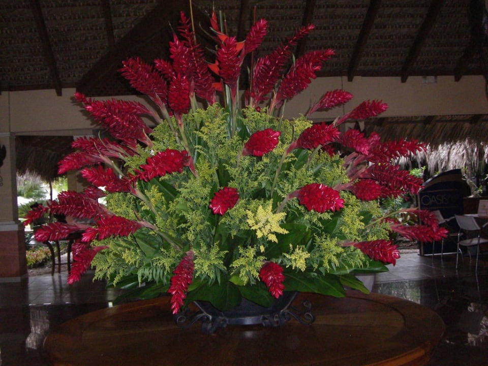 Wunderbar Marien Puerto Plata