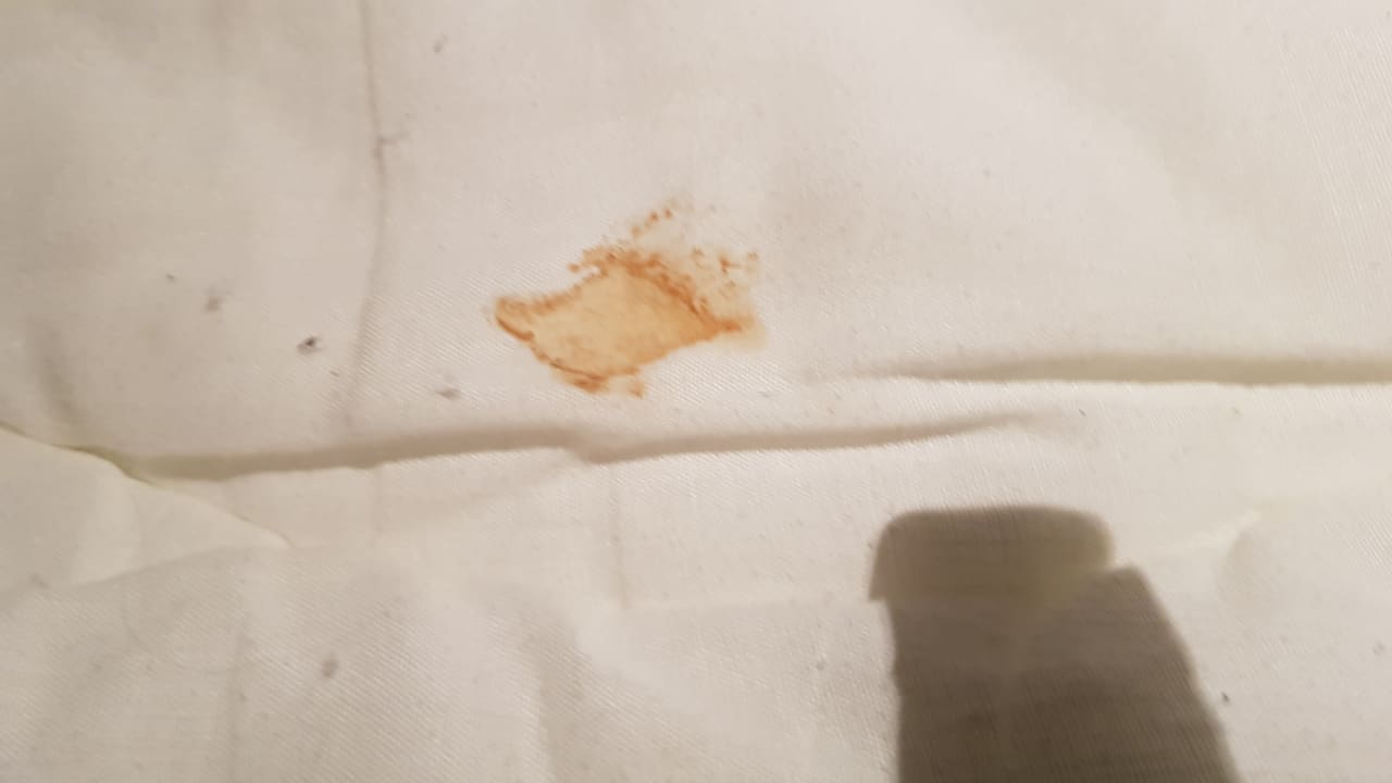 Zimmer Center Parcs Park Nordseeküste