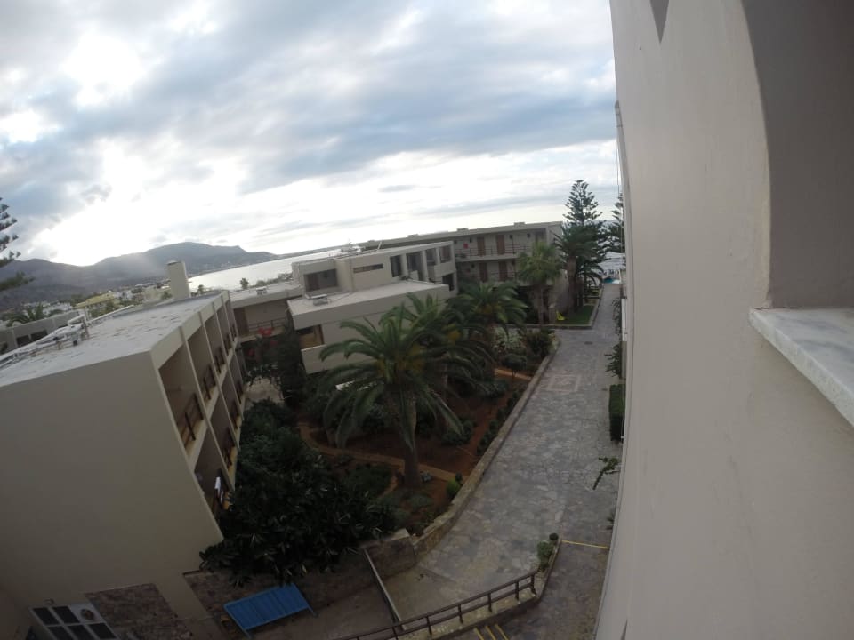 Ogród  allsun Hotel Malia Beach