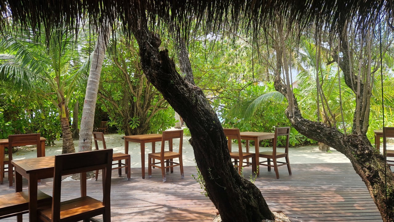 Gastro Summer Island Maldives