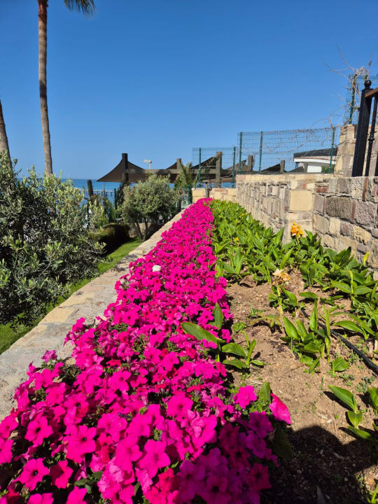 Gartenanlage Arum Barut Collection