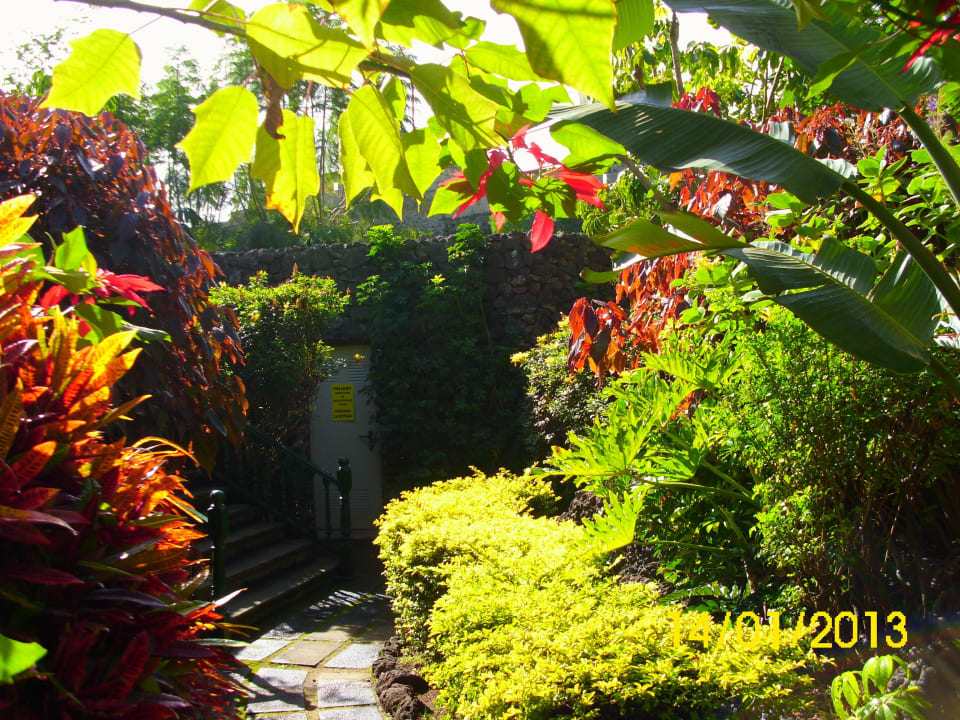 Farbvielfalt BLUESEA Costa Jardin Spa