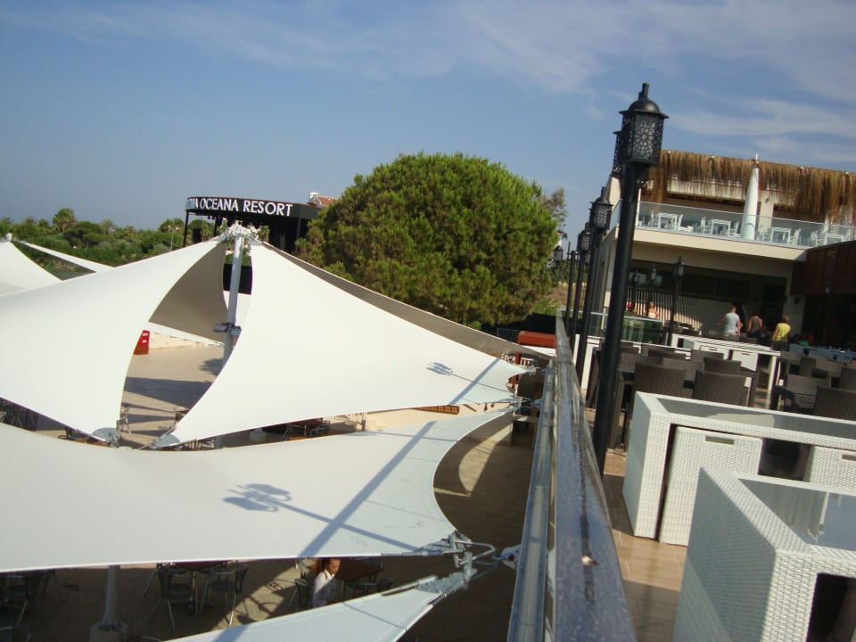 Terrassenblick zur Poolbar Paloma Oceana