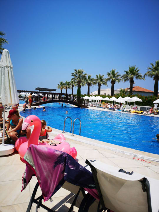 Pool Palm Wings Kusadasi Beach Resort & Spa