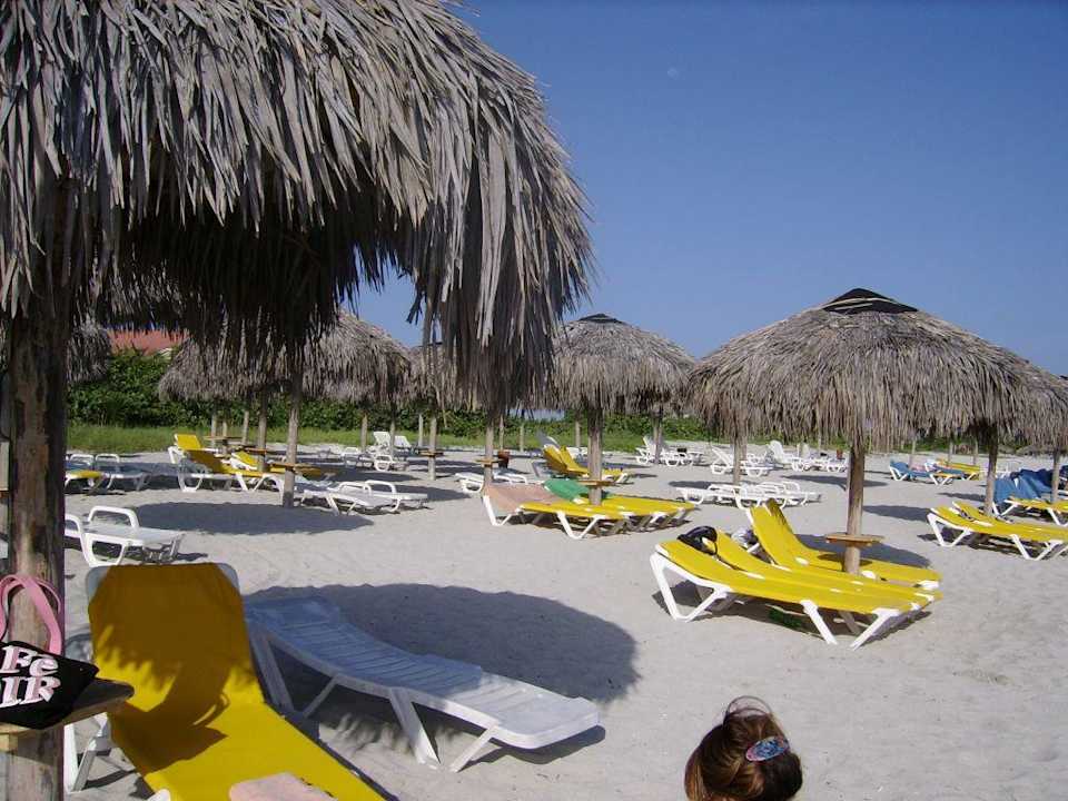 Spiaggia dell'hotel Iberostar Origin Playa Alameda