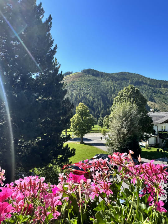 Ausblick Pension Zirbenhof