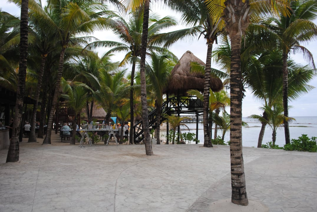 Am Hauptstrand TUI BLUE El Dorado Seaside Suites