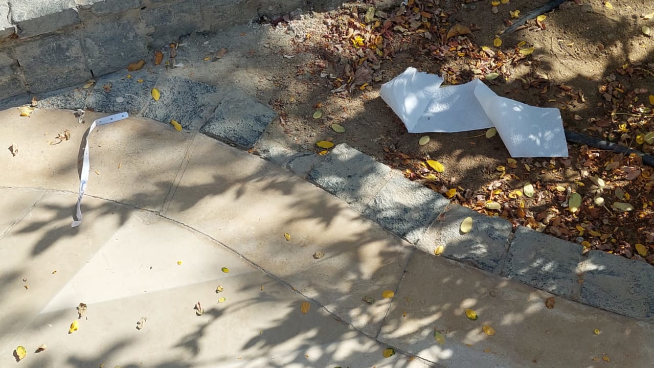 Gartenanlage The Grand Palace - Adults only