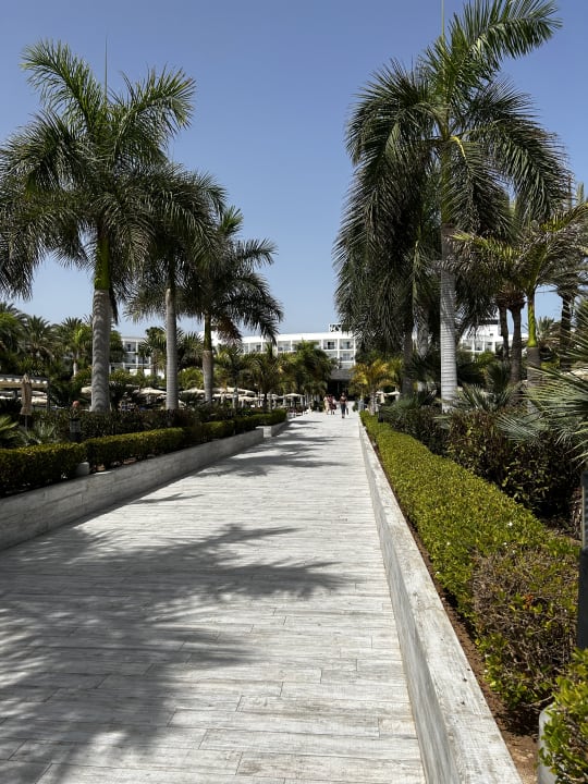 Gartenanlage Hotel Riu Palace Meloneras