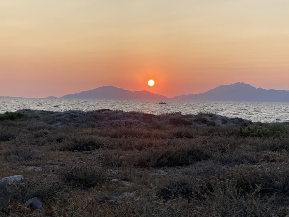 Ausblick Sentido Pearl Beach Kos – Adults only