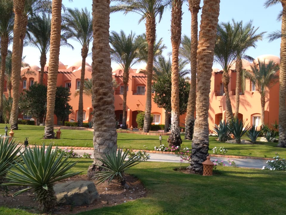 Gartenanlage Jaz Makadi Oasis Resort