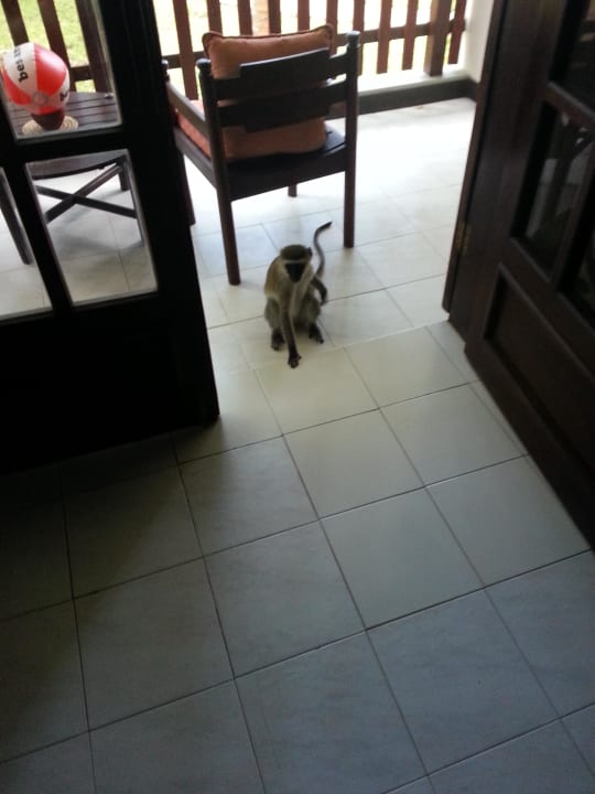 Besuch am Balkon PrideInn Flamingo Beach Resort & Spa