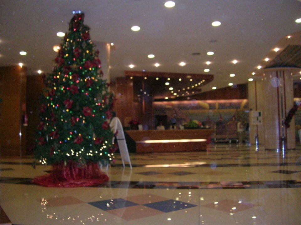 Hotel Iberostar Waves Bouganville Playa