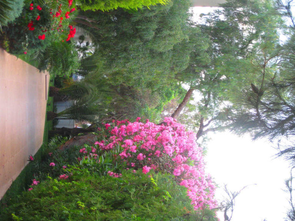 Garden Latanya Park Resort