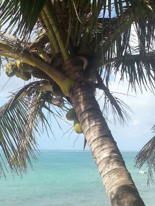 Bahari Beach Hotel Bahari Beach Hotel