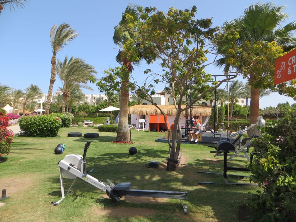 Sport & Freizeit Desert Rose