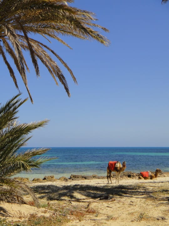 Weiter am strand entlang Hotel El Mouradi Djerba Menzel
