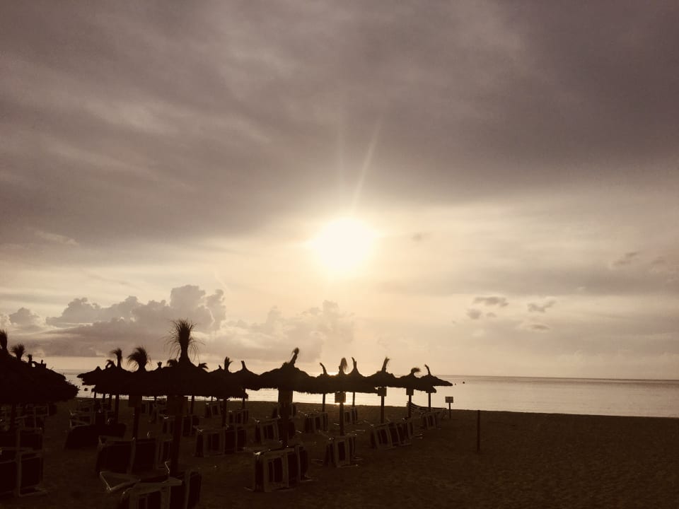 Strand Hipotels Hipocampo