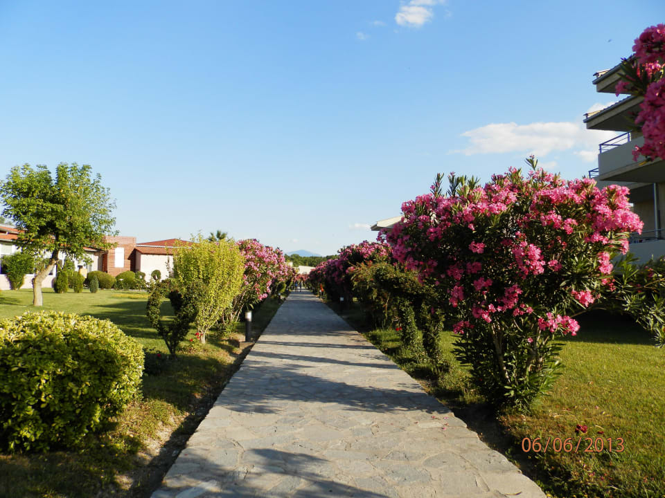 Blühende Wege alltoura Club Hotel Poseidon Palace