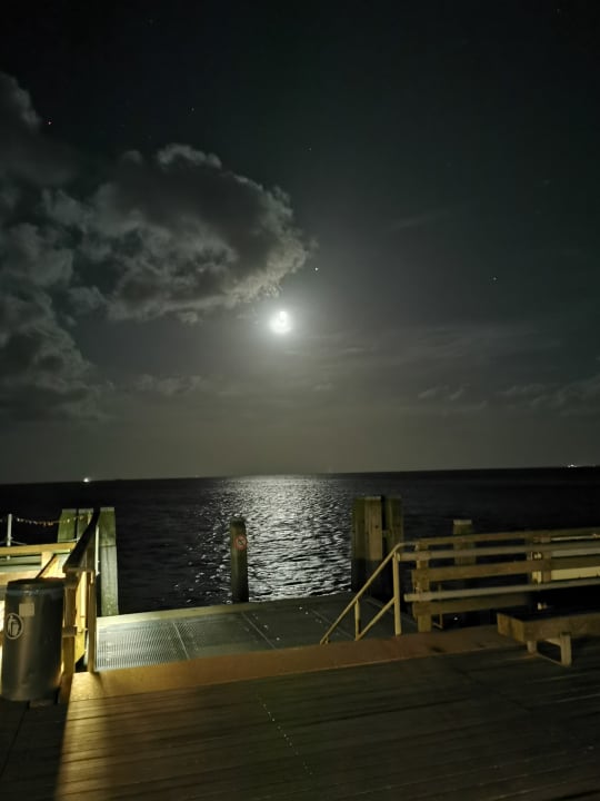 Strand Ferienwohnung Möwennest 12 Ostseetraum