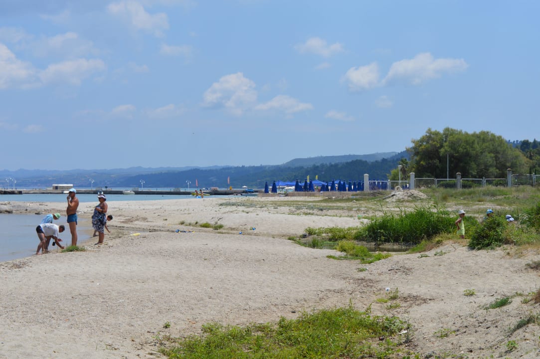 Przy żółwiach Hotel Athos Palace