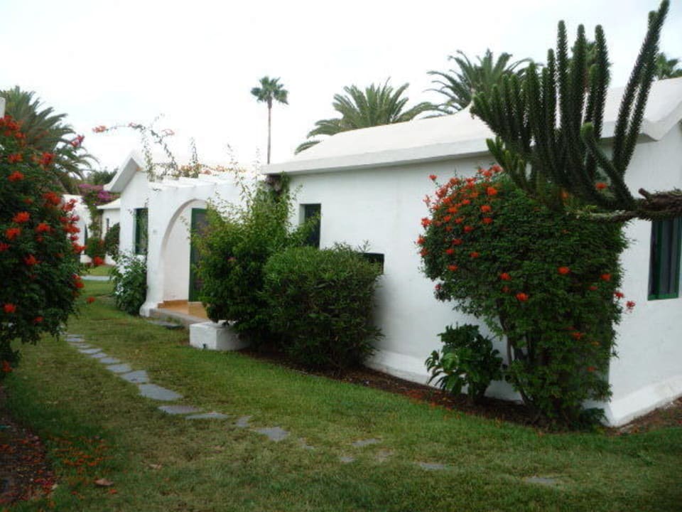 Die Büsche sind geschnitten worden Canary Garden Club