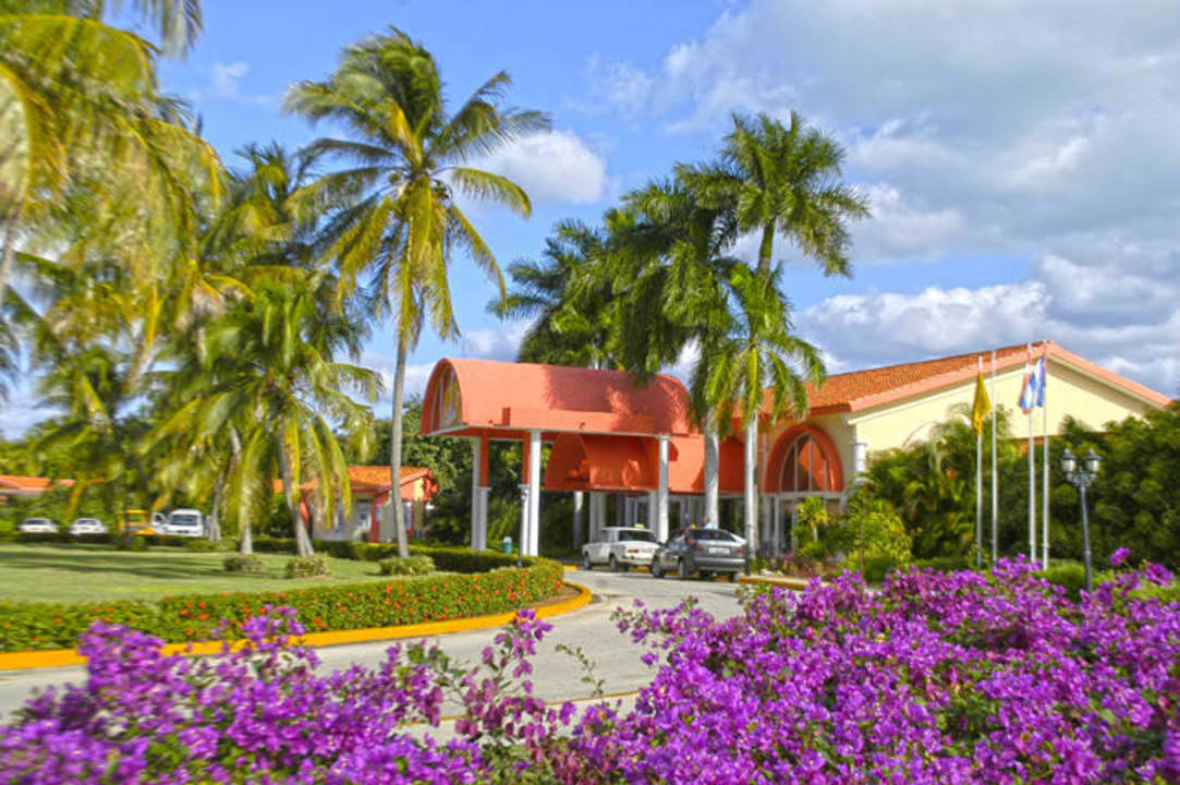 Front Starfish Cayo Guillermo