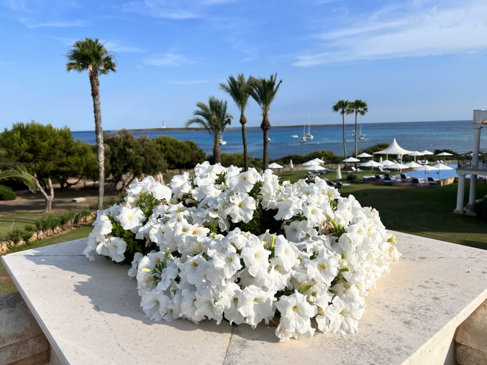 Ausblick Insotel Punta Prima Prestige Suites & Spa