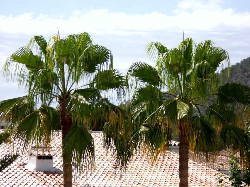 Blick nach hinten Hotel Condesa