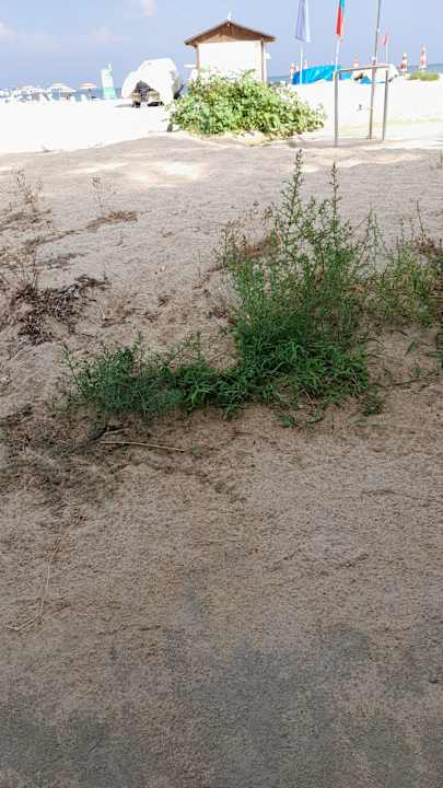 Strand Hotel Borjana