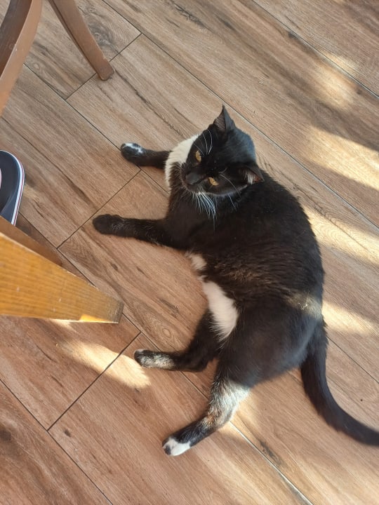 Sonstiges VONRESORT Golden Beach