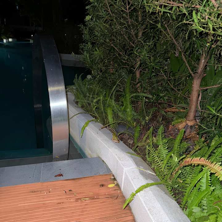 Pool La Flora Khao Lak