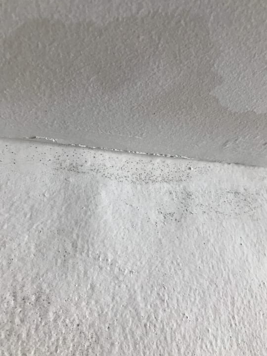 Zimmer Grand Paradise Playa Dorada