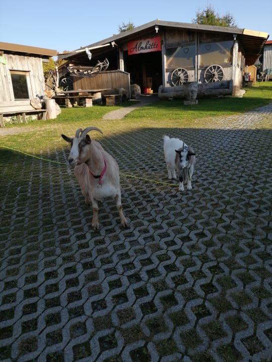 Sport & Freizeit Landgasthof ZUR NEUEN POST