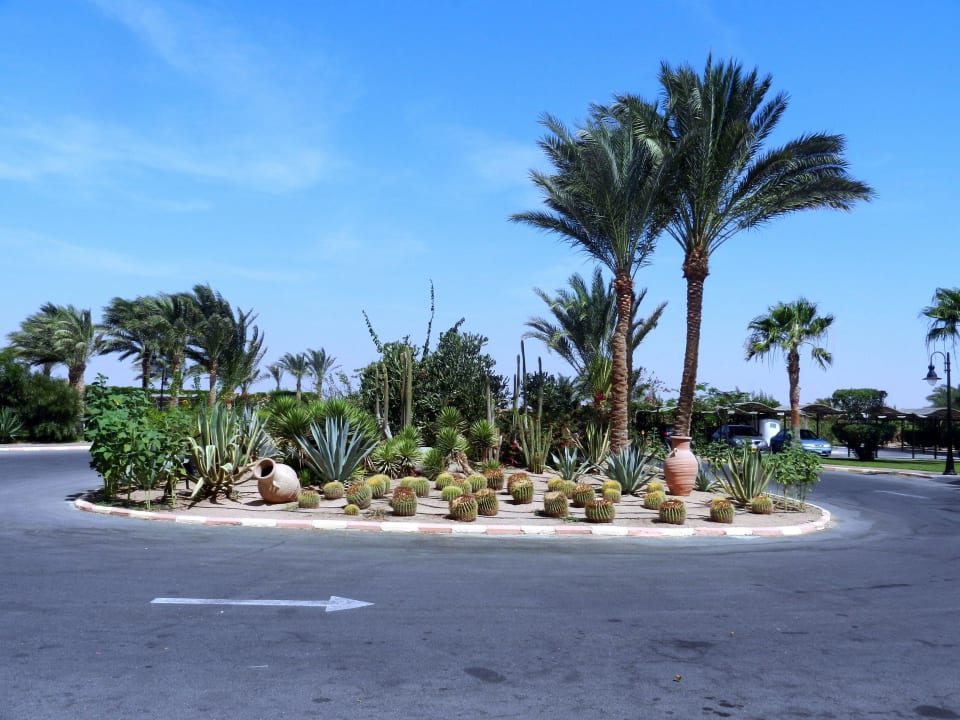 Anfahrt Steigenberger Coraya Beach - Adults only