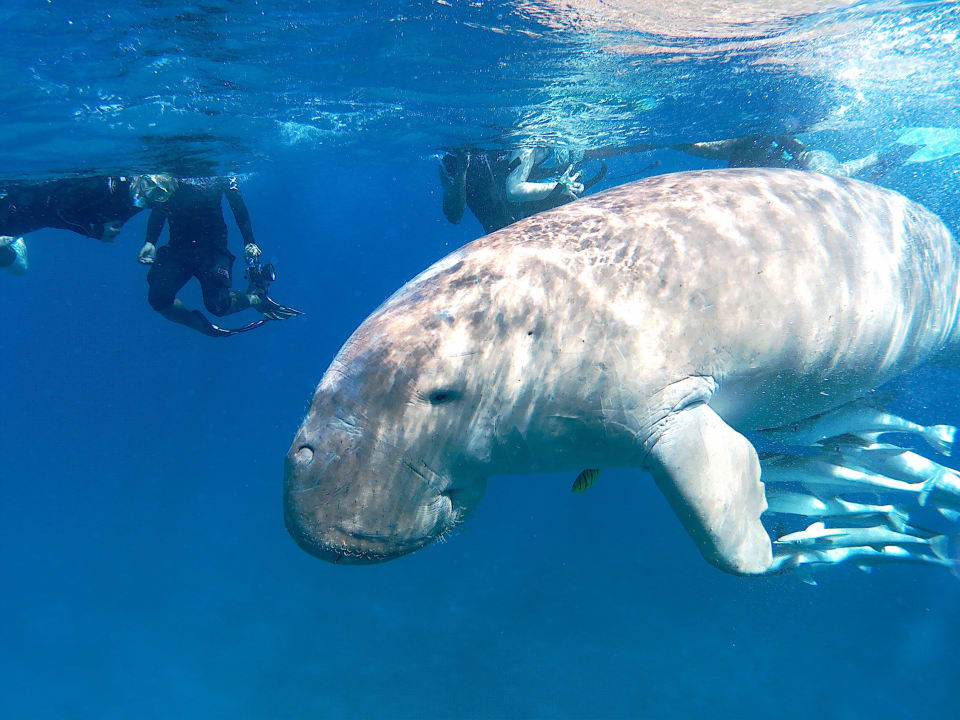 Strand Casa Mare Resort