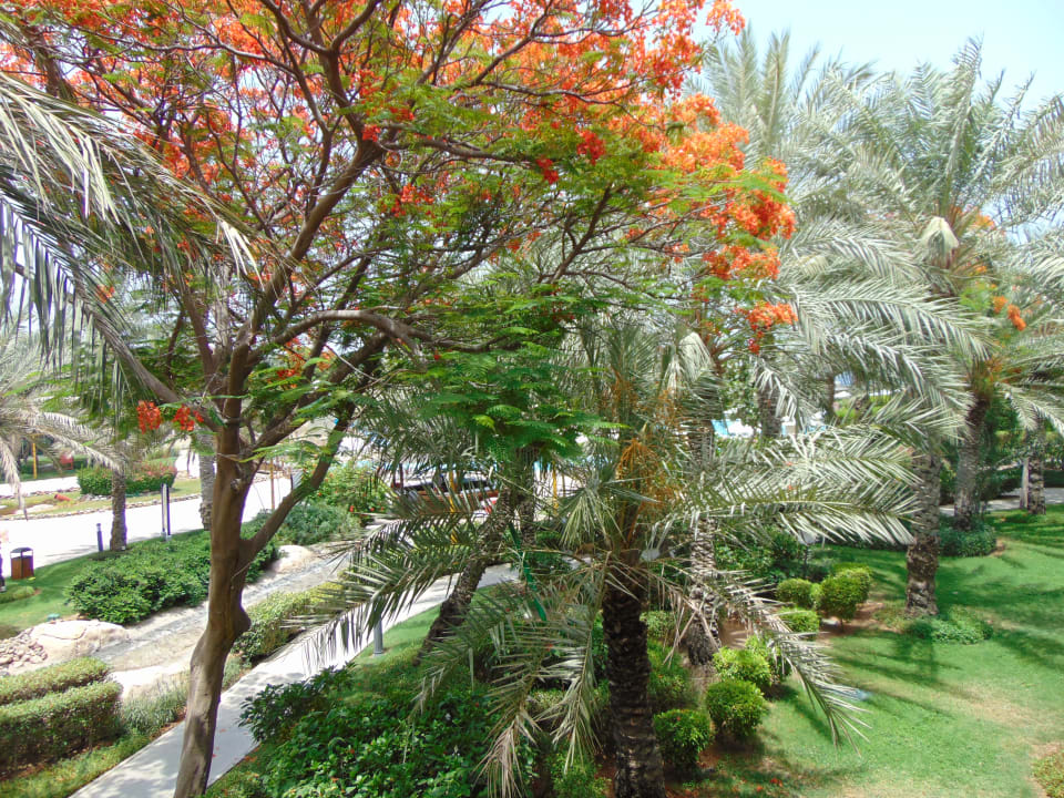 Ausblick Fujairah Rotana Resort & Spa