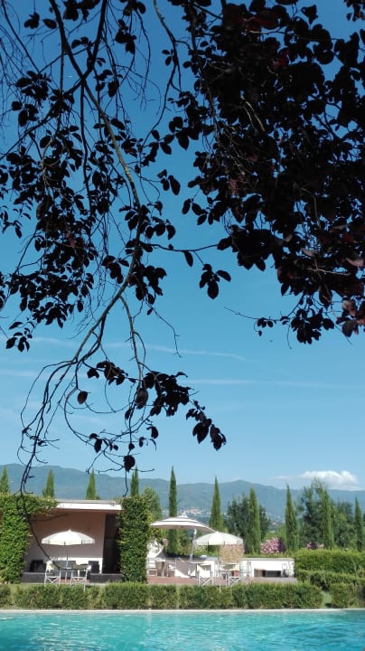 Garten Villa Il Palagio