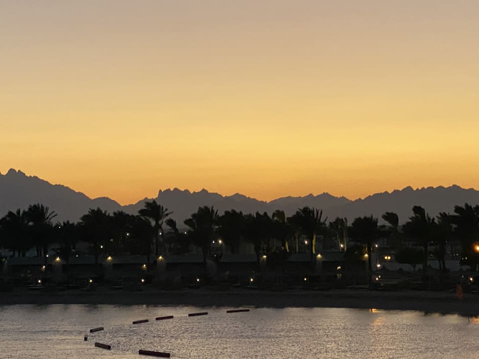 Ausblick Desert Rose
