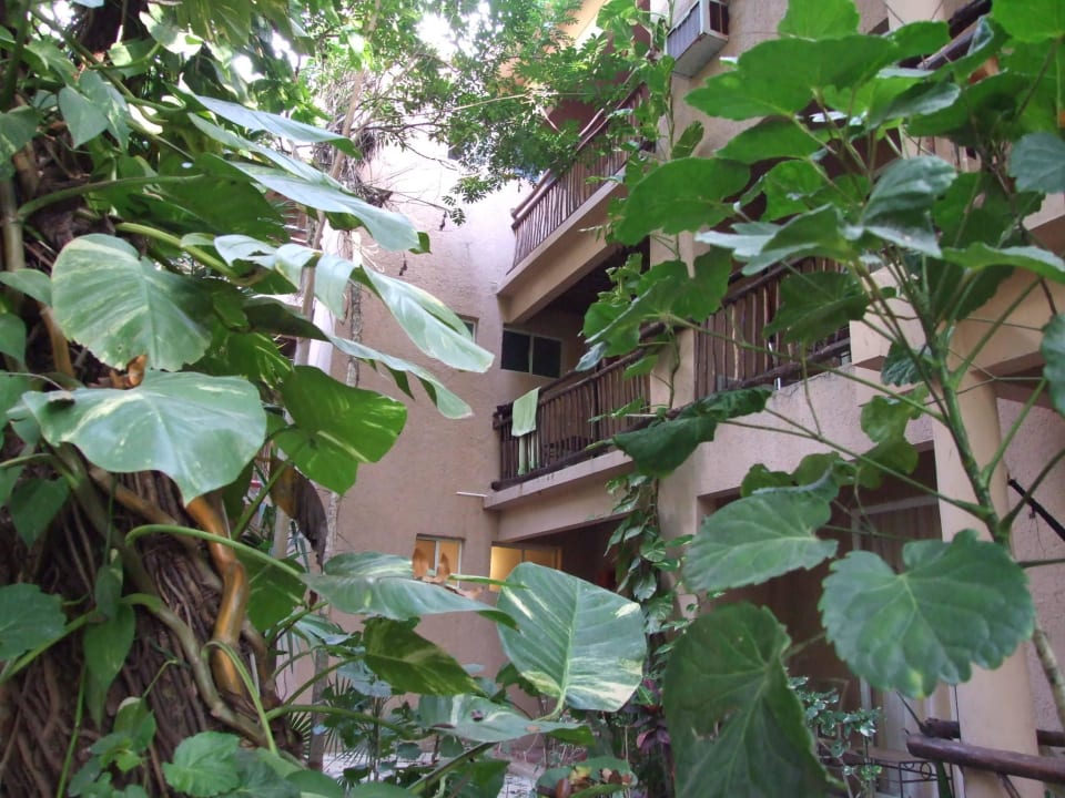 Z zewnątrz Tukan Hotel Playa del Carmen