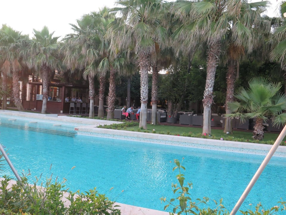 Meerwasserpool Gloria Serenity Resort