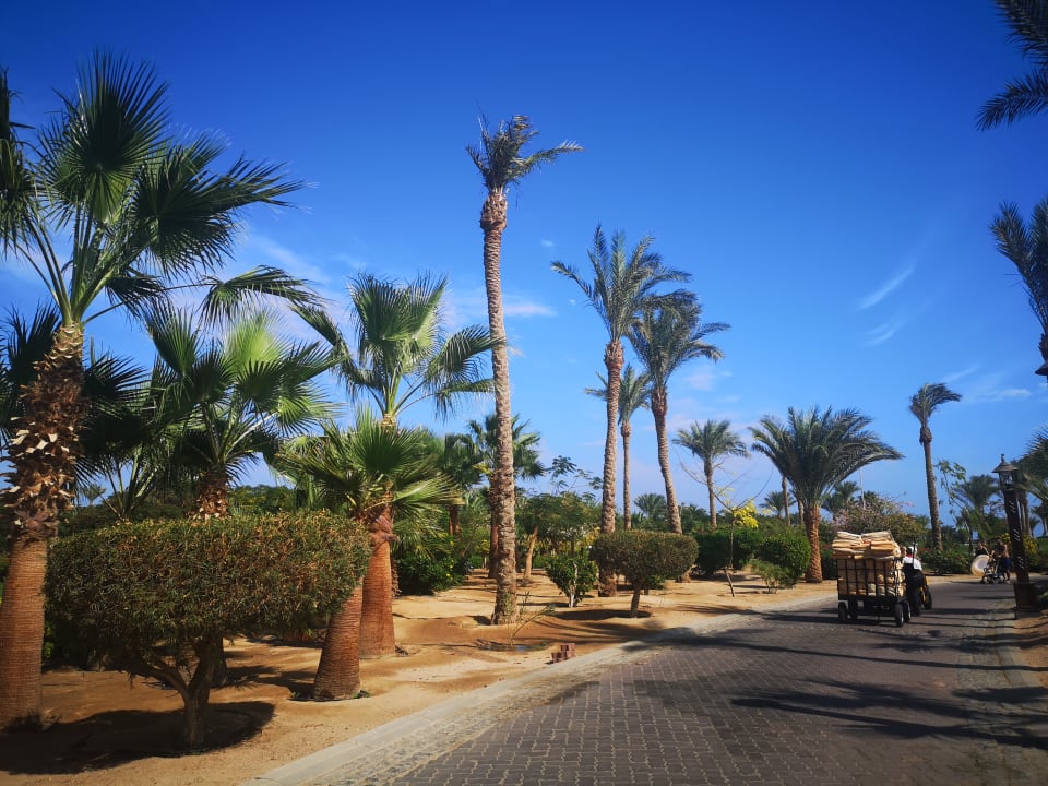 Gartenanlage Steigenberger Aqua Magic