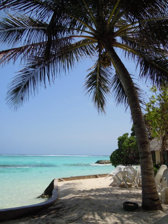 Einfach nur genießen Summer Island Maldives