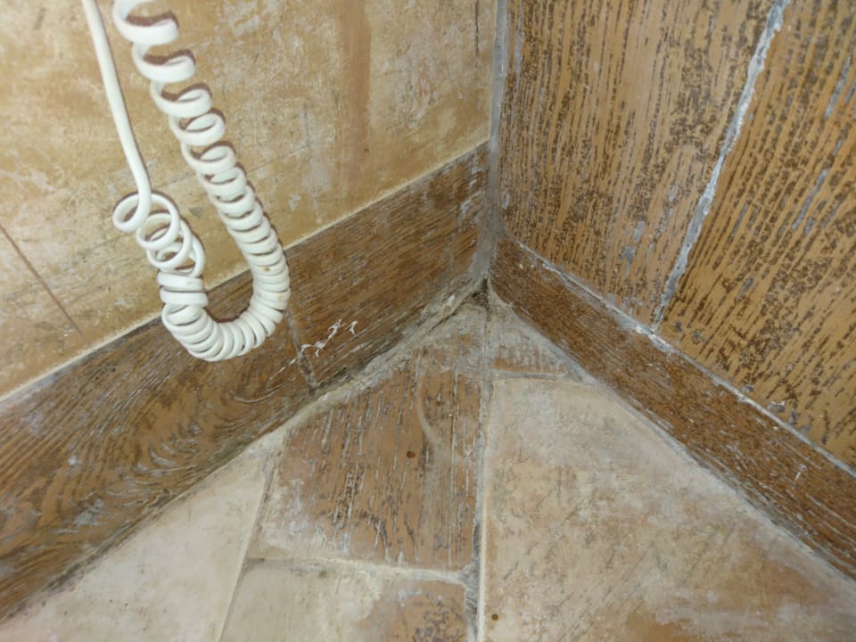 Zimmer Pickalbatros Citadel Resort