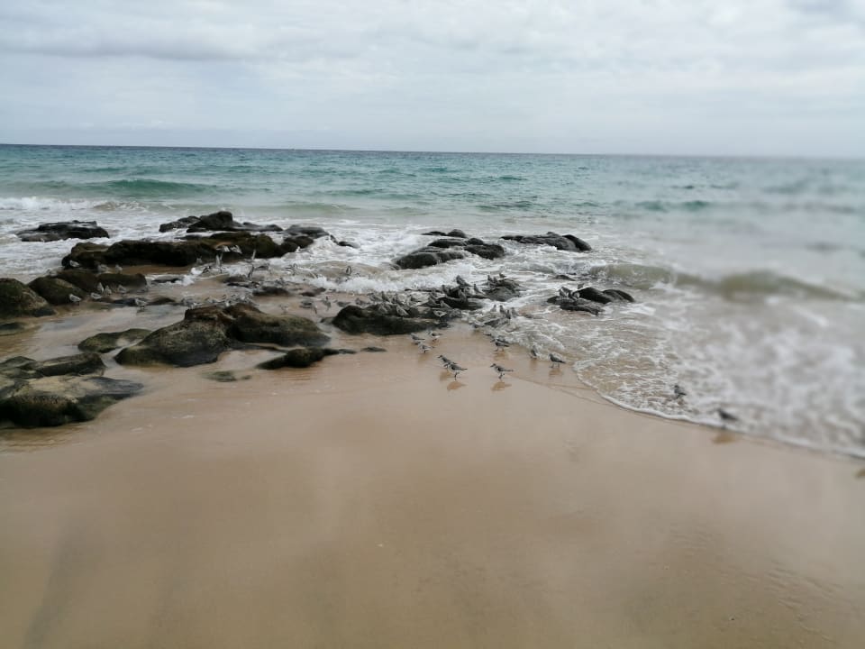 Strand Club Jandia Princess