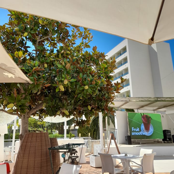 Sport & Freizeit Hotel Morito